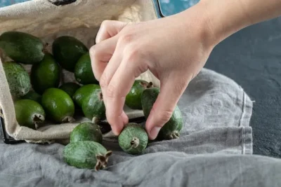 como cultivar aguacate en casa