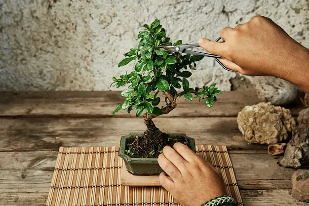 como cultivar bonsai