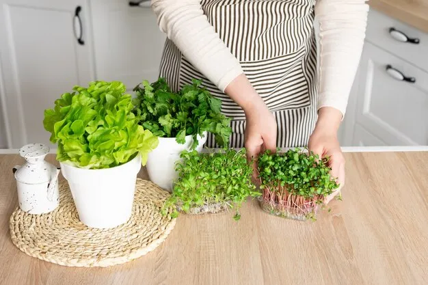 cómo cultivar cilantro en casa, técnicas y consejos esenciales