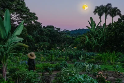 cuando podar segun la luna