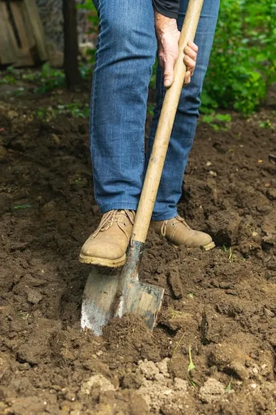 pala para agricultura